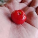 PhonThany