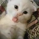 Ten Watchs