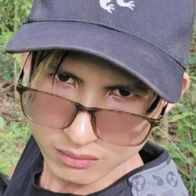 Gandi Auditor 甘迪