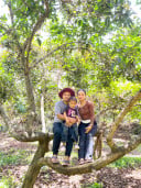 Seom Sarim
