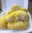 ចេង ចេង