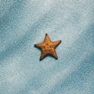 STAR FISH