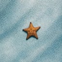 STAR FISH