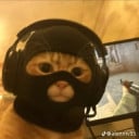 Kim Kim