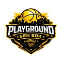 Playground Basketball