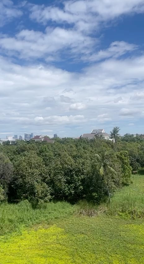 Land for sell near Norea City