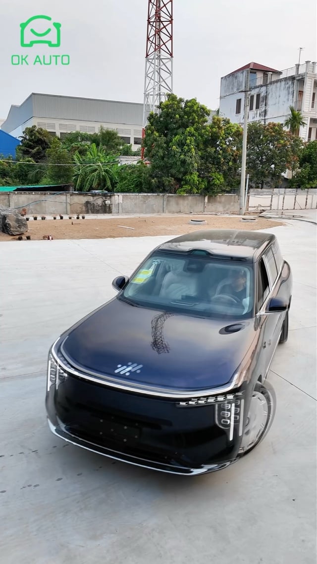 Many car instock