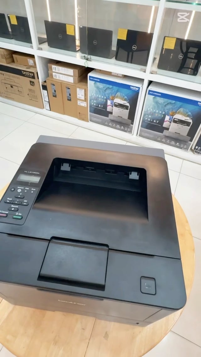 Printer Brother HL-L5100DN (Black & White)