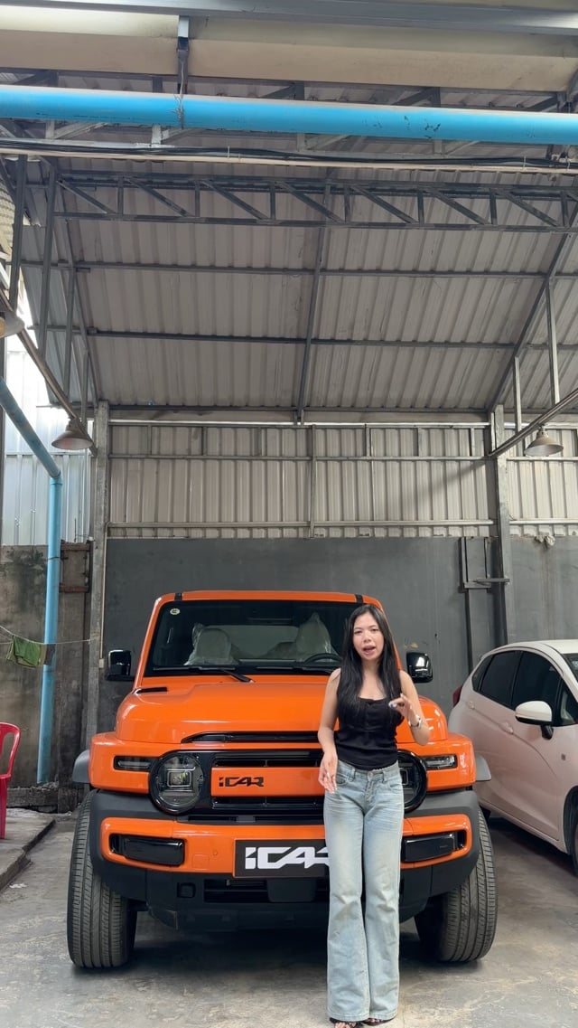 Icar V23