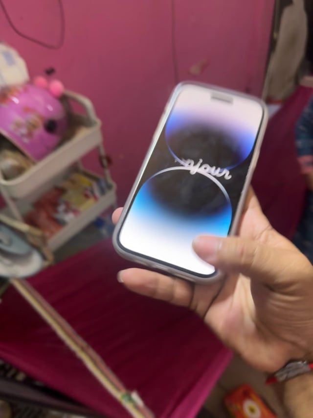 iPhone 14 Pro Max GX scan